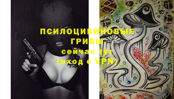 гидра Лагань