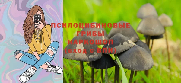 гидра Лагань