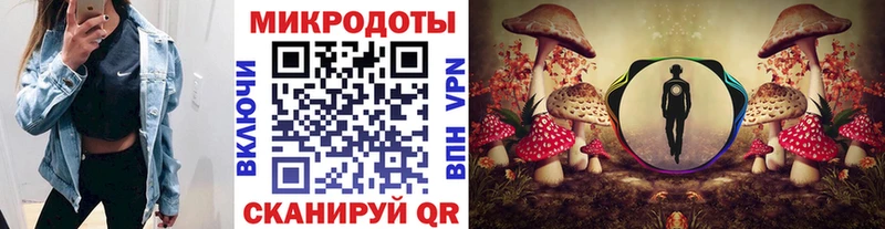 где продают Сольвычегодск Псилоцибиновые грибы прущие грибы